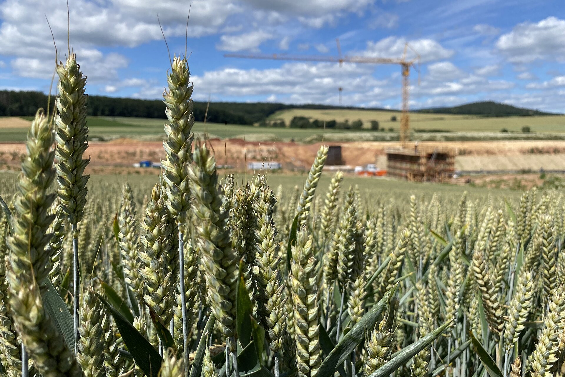 A 49 bei Neuental-Bischhausen A 49 bei Neuental-Bischhausen