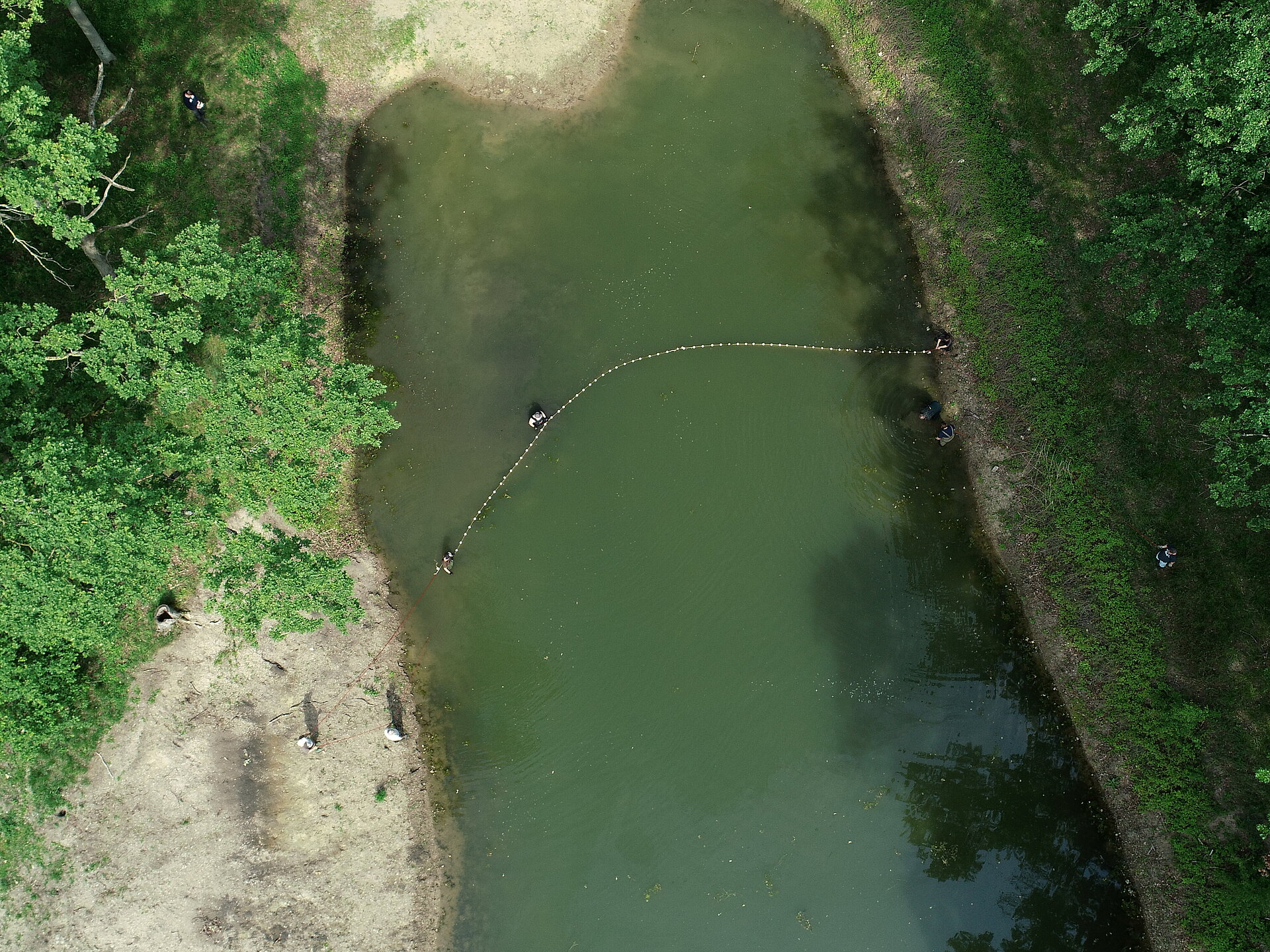 Abfischen der Großfische