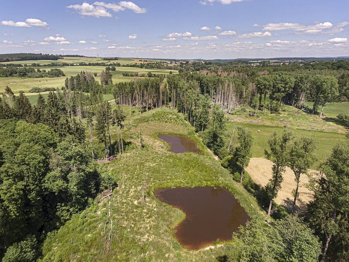 durch Aufstauen der Gräben entstehen zahlreiche Gewässer
