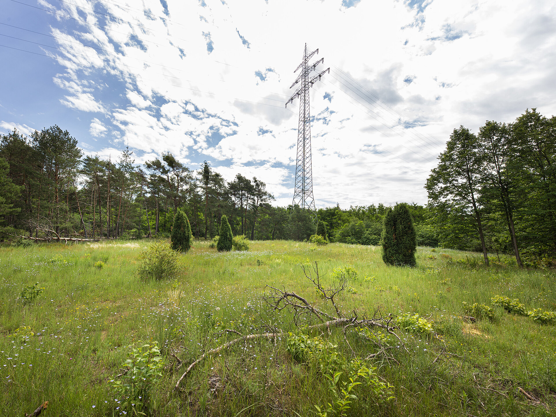 Namensgeber: die RWE-Trasse