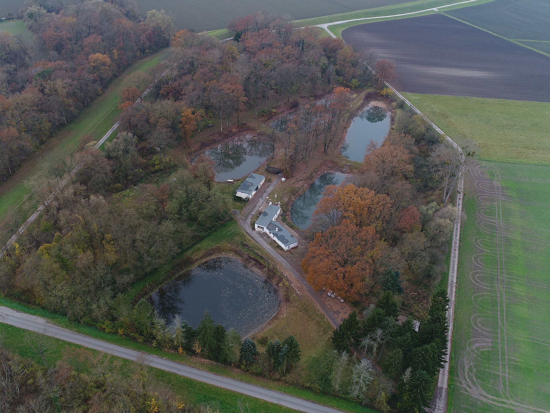Tümmlergelände Erfelden nach Aufgabe des Fischereibetriebs