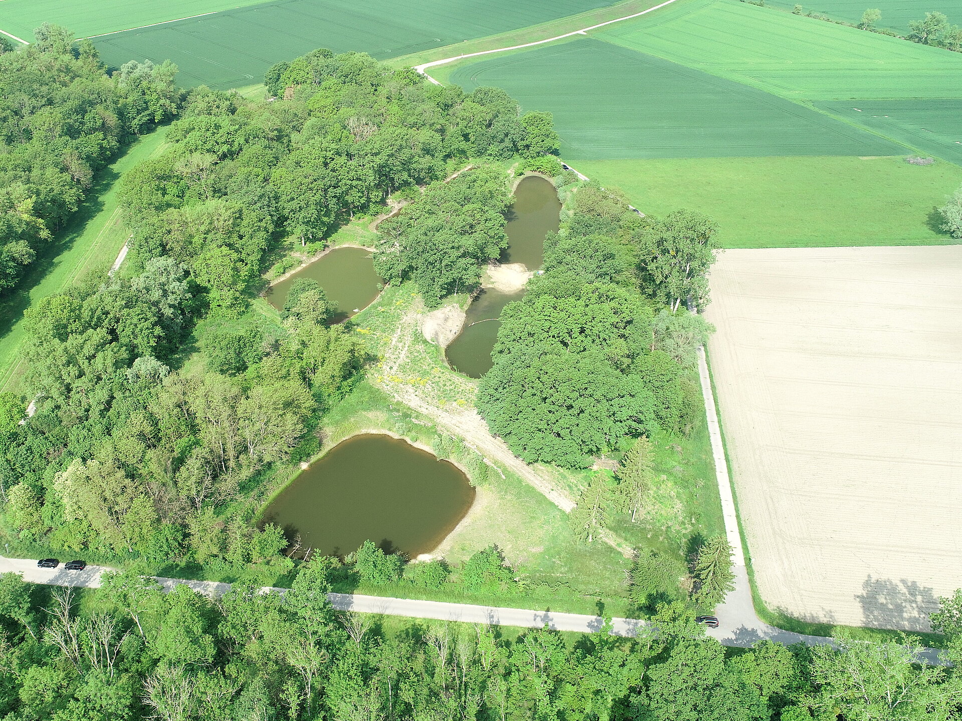 Tümmlergelände nach Maßnahmenumsetzung